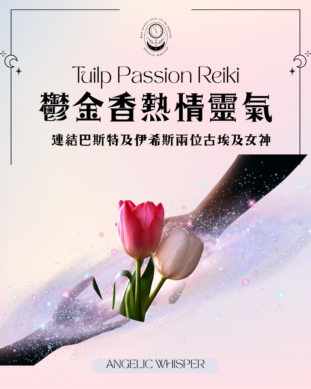 鬱金香熱情靈氣