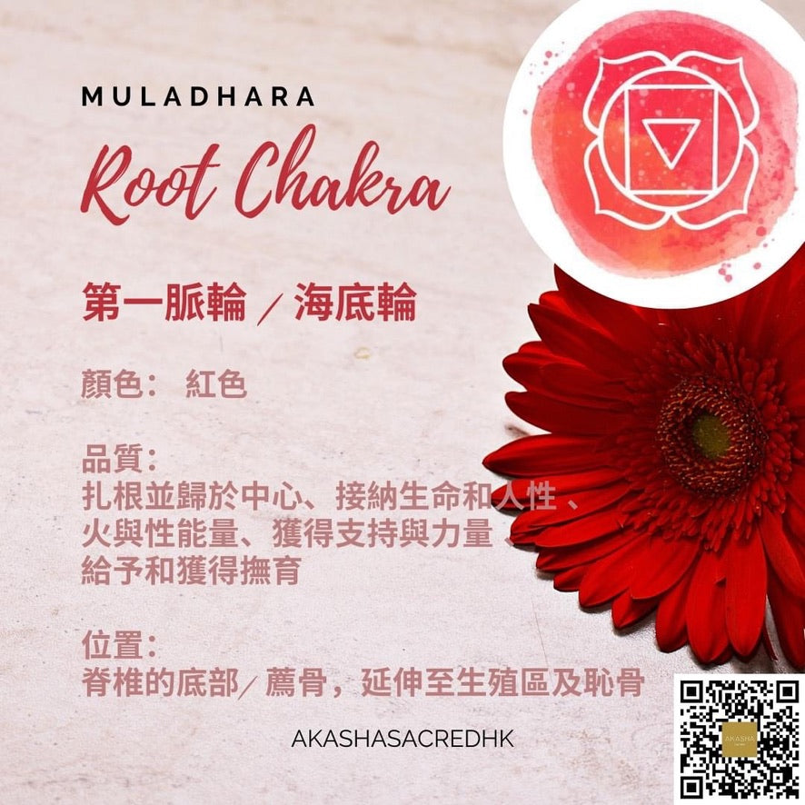 海底輪-紅光脈輪油