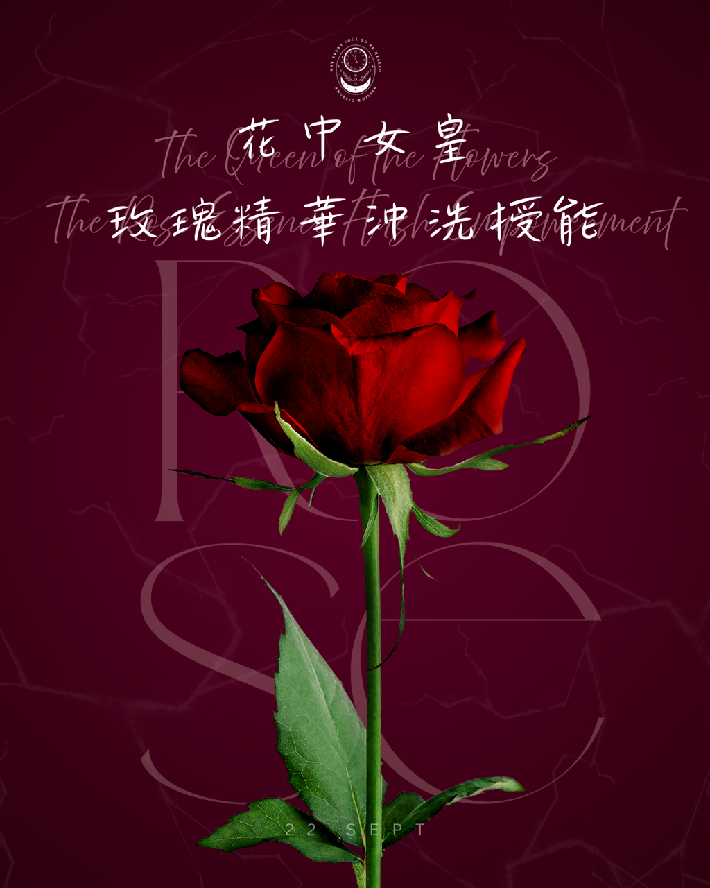 花中女皇——玫瑰精華沖洗授能
