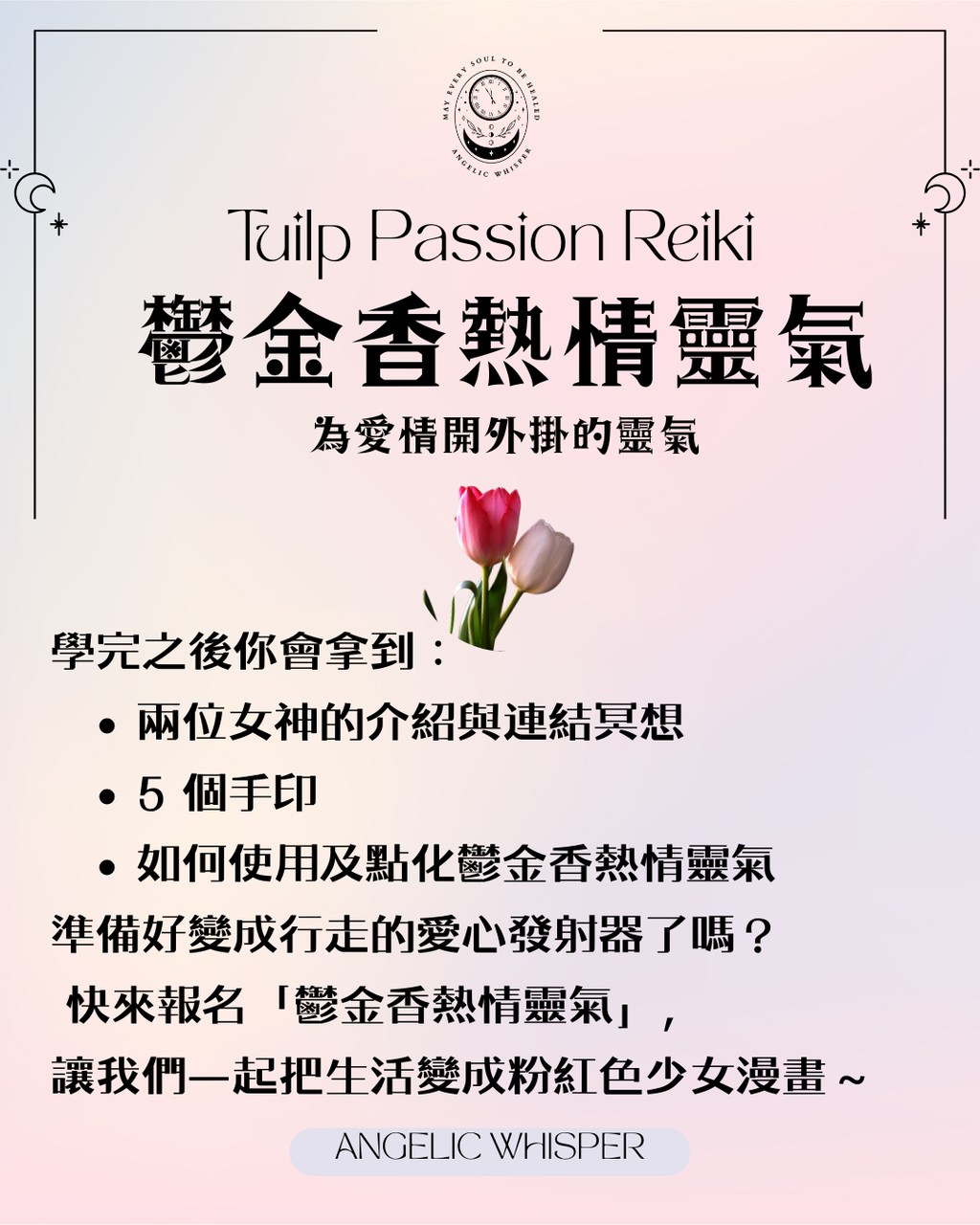 鬱金香熱情靈氣